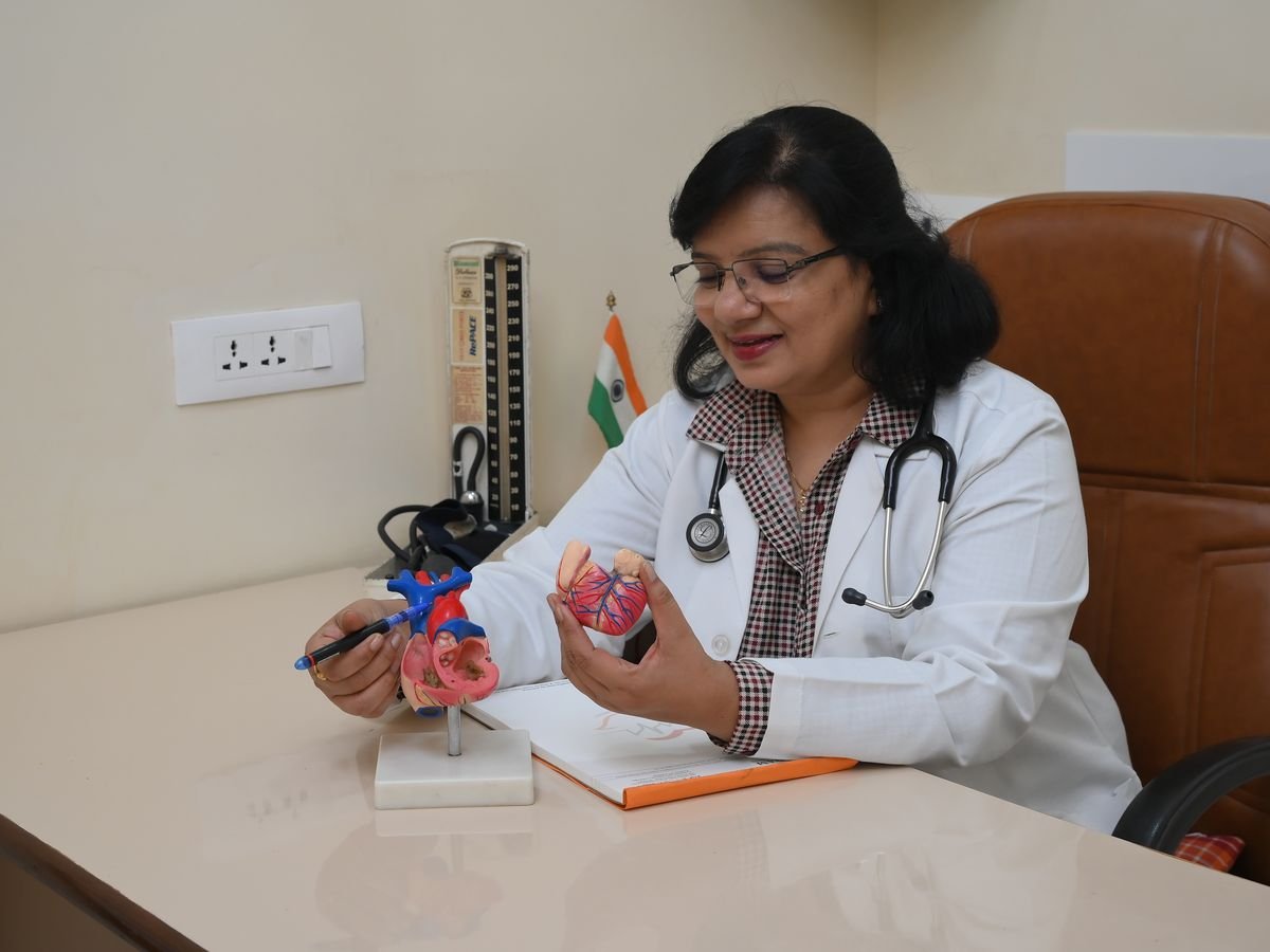 Dr. Hetan Shah explaining the heart using an anatomical model